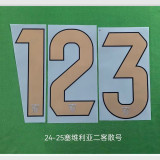 24-25 Sevilla Third Fans Soccer Jersey