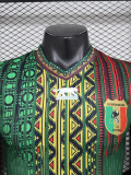 24-25 Mali Away Player Version Soccer Jersey