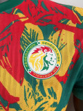24-25 Senegal Red Yellow Green Player Version Training shirts
