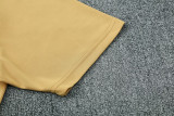 25-26 Argentina Earthy Gold Polo Tracksuit