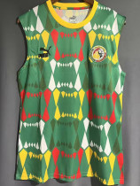 23-24 Senegal Green Vest
