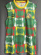 23-24 Senegal Green Vest