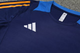 2024 AD Royal blue Training Short Suit