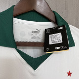 24-25 Palmeiras Away Print All Sponsor Fans Soccer Jersey