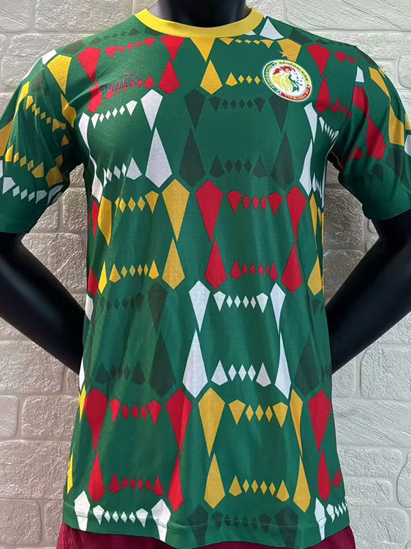 2024 Senegal Green Player Version Soccer Jersey