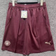 24-25 Man City Third Shorts Pants