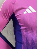 24-25 Germany Away Long Sleeve Player Version Soccer Jersey (长袖球员)