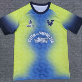 24-25 Venezia FC Blue Green Goalkeeper Soccer Jersey