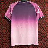23-24 Japan Purple Pink Special Edition Fans Training Shirts (紫粉色)