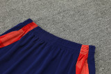24-25 Spain Royal blue Tank top and shorts suit