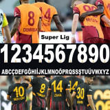 24-25 Galatasaray Black Special Edition Fans Soccer Jersey