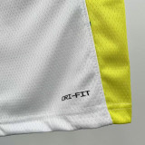 24-25 Indiana Pacers HALIBURTON #0 White City Edition Top Quality Hot Pressing NBA Jersey