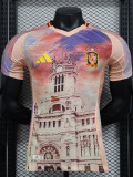 24-25 Spain Pink Special Edition Player Version Soccer Jersey