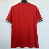 25-26 Portugal Home 1:1 Fans Soccer Jersey