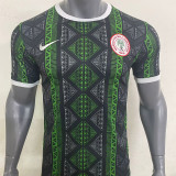 23-24 Nigeria Gsub-green Training shirts
