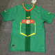 22-23 Senegal Away Fans Soccer Jersey