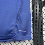 2010 Spain Away Royal Blue Retro Soccer Jersey(带胸前决赛字)