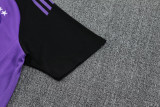 25-26 Germany Purple Polo Tracksuit