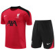 24-25 LIV Red Training Short Suit