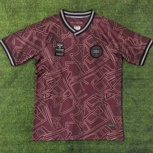 24-25 Denmark HALO Special Edition Fans Soccer Jersey