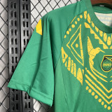 24-25 JAMAICA Green Training shirts