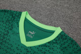 24-25 Palmeiras Green Training Short Suit