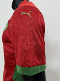 24-25 Morocco Home Player Version Soccer Jersey