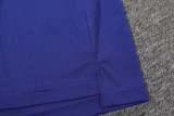 25-26 France Fancy blue Polo Tracksuit