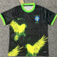 25-26 Brazil Black Special Edition Fans Soccer Jersey