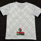 24-25 Palestina FC Grey Training shirts
