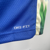 22-23 BUCKS LILLARD #0 Blue City Edition Top Quality Hot Pressing NBA Jersey(V领)