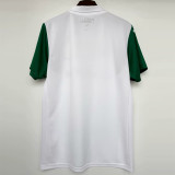 25-26 Palmeiras Away 1:1 Fans Soccer Jersey
