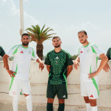 24-25 Algeria Home Fans Soccer Jersey