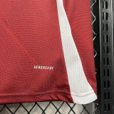 24-25 Albacete Away Fans Soccer Jersey