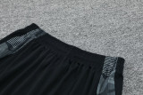 2024 AD Grey Training Short Suit