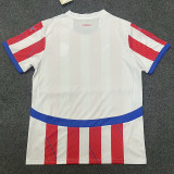 24-25 Paraguay Home Fans Soccer Jersey