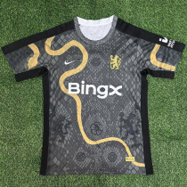 25-26 CHE Limited Edition Fans Soccer Jersey *带袖广告