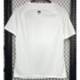 24-25 Slovenia Home Fans Soccer Jersey