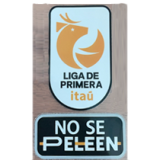 25-26 Deportivo Palestino Green Red Fans Soccer Jersey