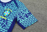 24-25 Brazil Fancy blue Training Short Suit