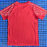 24-25 PSG Red Fans Training shirts