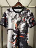 25-26 Japan Grey Special Edition Fans Soccer Jersey