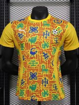 24-25 Ghana Yellow Player Version Training shirts