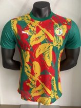 24-25 Senegal Red Yellow Green Player Version Training shirts
