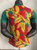 24-25 Senegal Red Yellow Green Player Version Training shirts