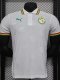 24-25 Senegal White Special Edition Player Version Training shirts