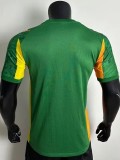 25-26 Dortmund Special Edition Green Player Version Soccer Jersey