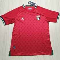 24-25 Palestina Away Fans Soccer Jersey