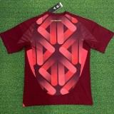 25-26 Germany W Away Fans Soccer Jersey *2星