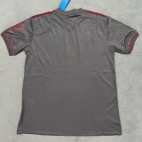 24-25 Bayern Grey 125th Anniversary Fans Soccer Jersey *灰色